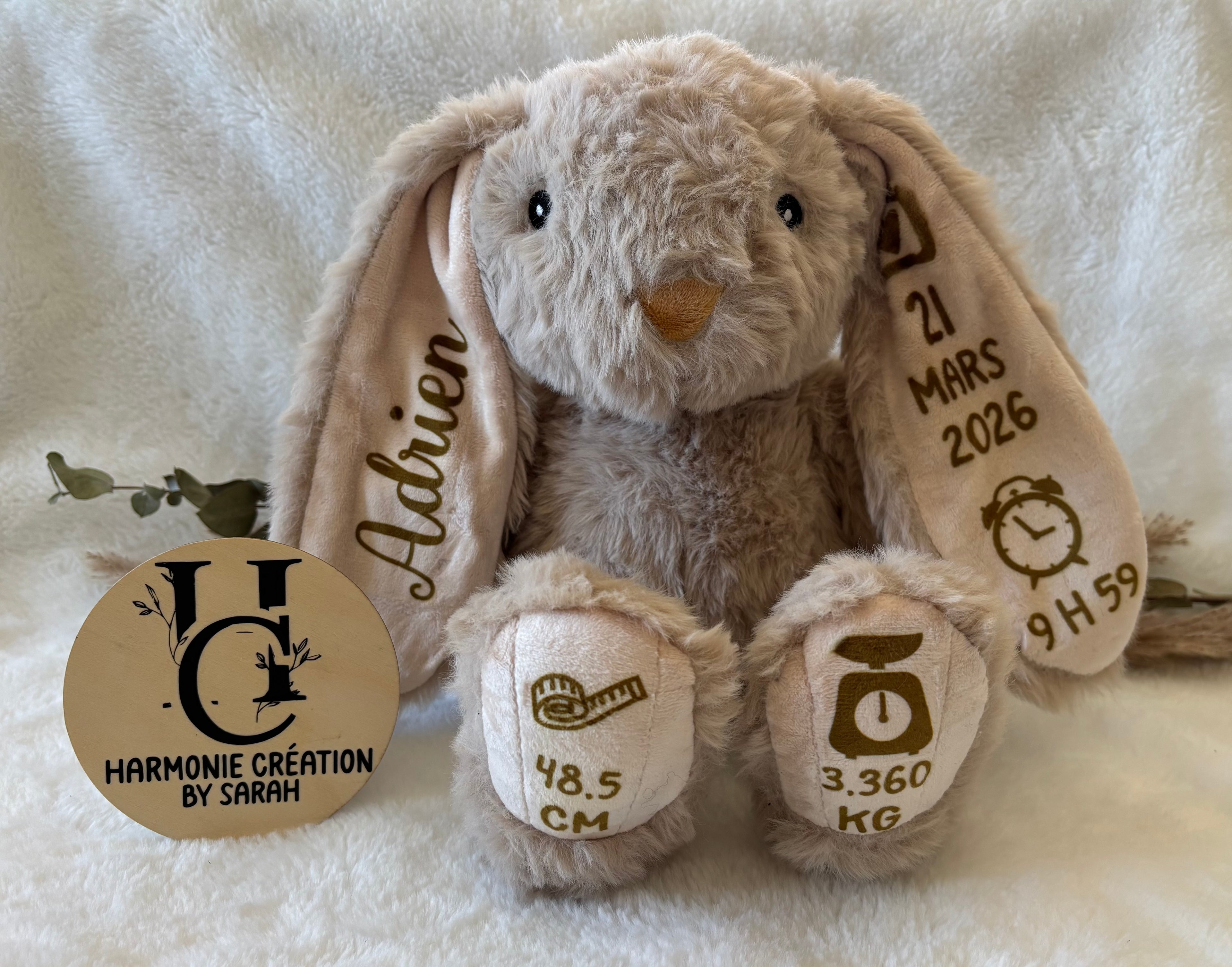 Lapin