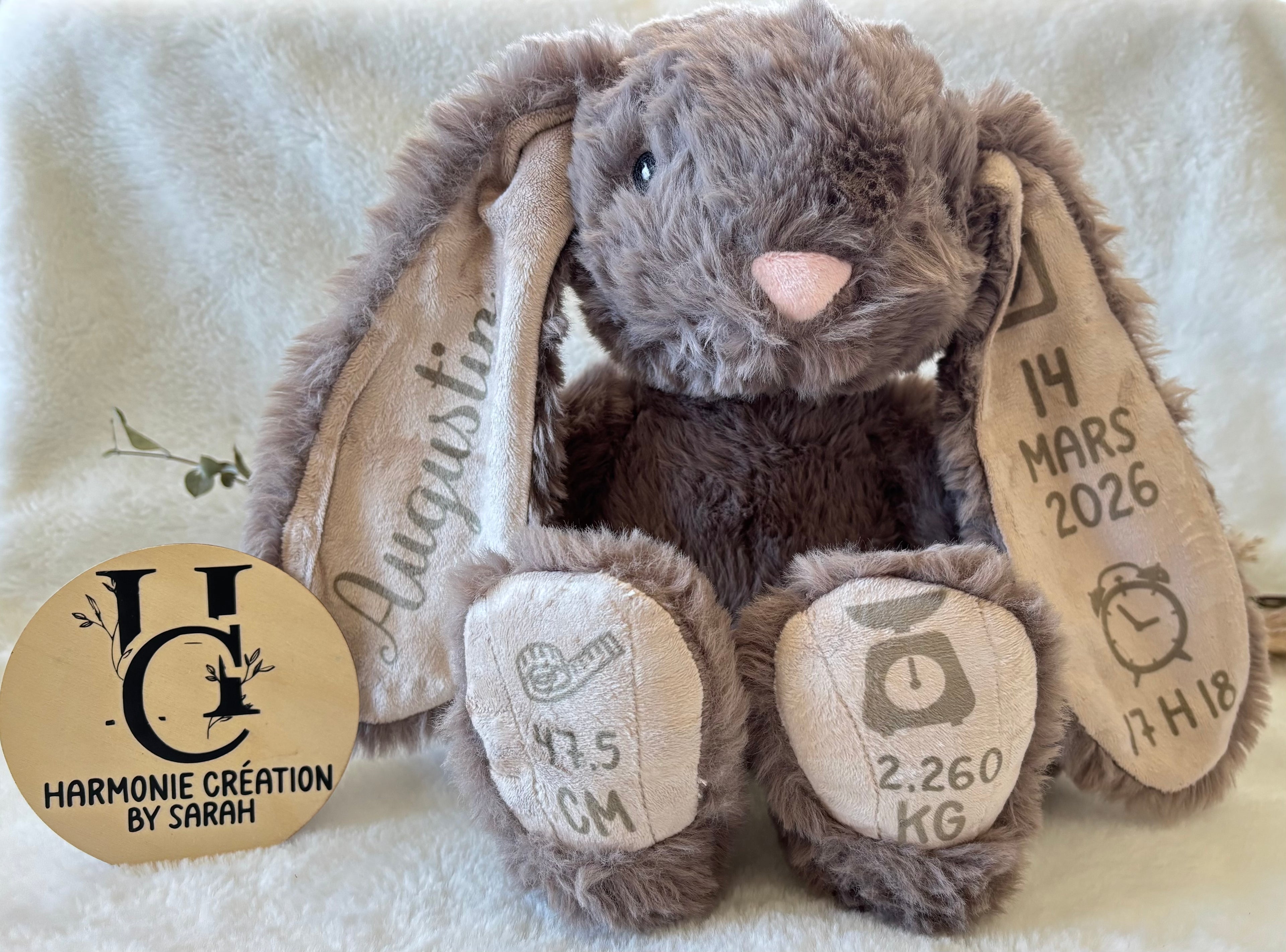 Lapin